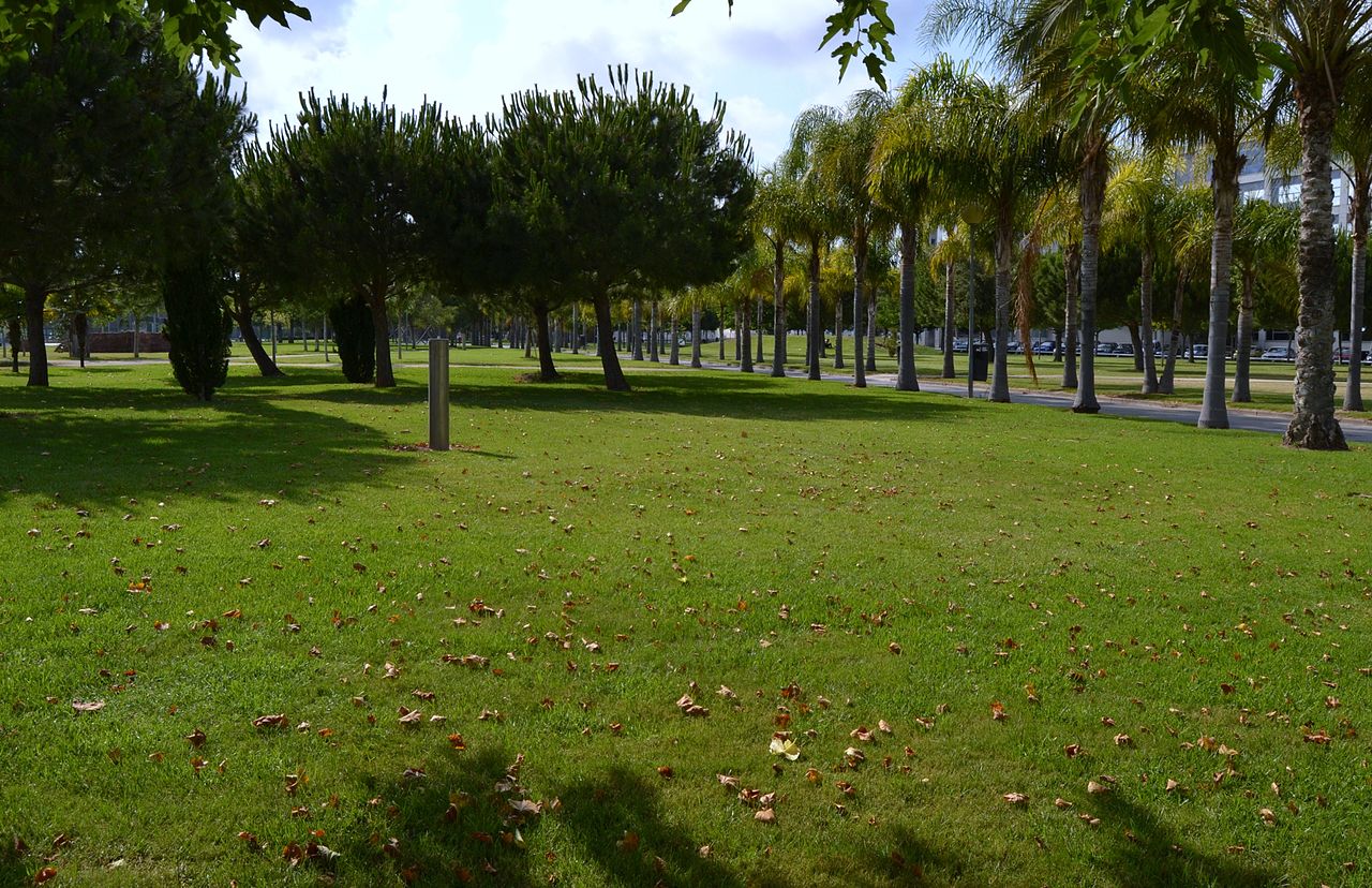 Jardí Central de la Universitat Politècnica de València, gespa.