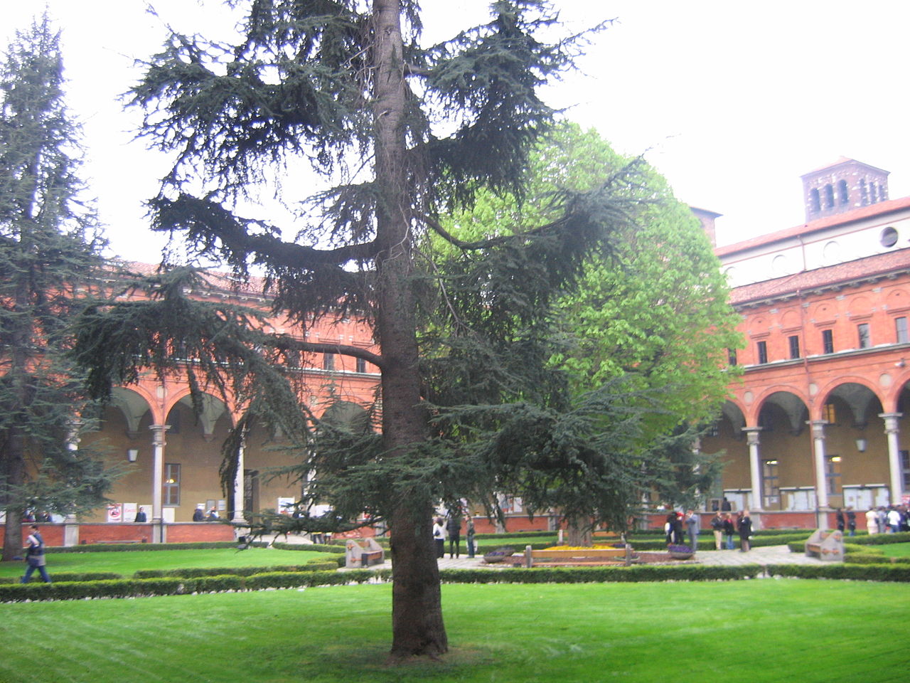 One of the inner yards (a former cloister) of Università Cattolica in Milan.